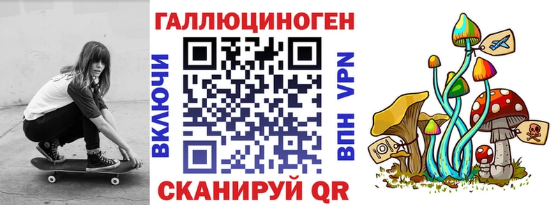 Псилоцибиновые грибы GOLDEN TEACHER Купить закладки Дно